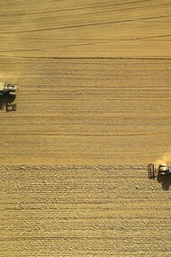 Gene editing with CRISPR-Cas9 used to improve the production of crops