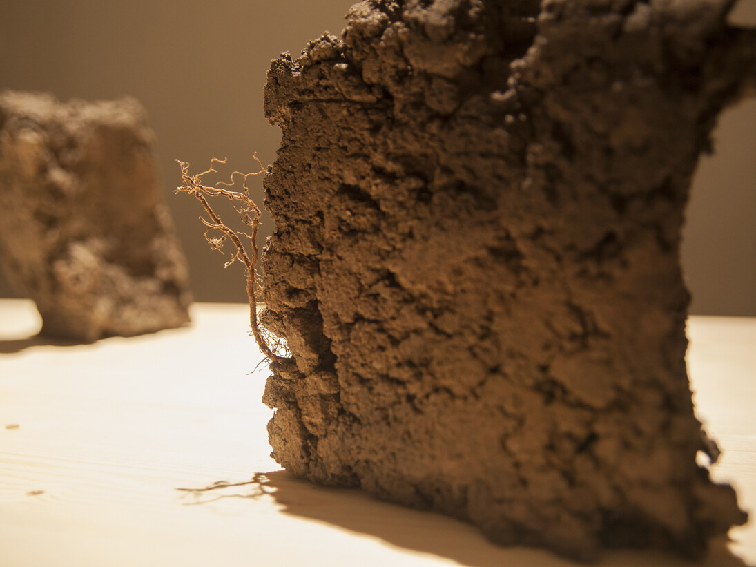 Federico Gori, 13/12, 2012, terracotta, dimensioni ambientali, veduta dell’installazione, Palazzo Fabroni, Arti Visive Contemporanee, Pistoia 2015. photo credits: Bärbel Reinhard