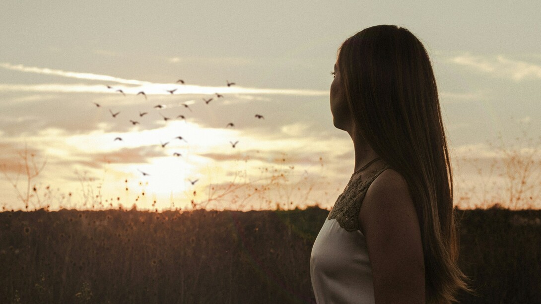 Encontrar el propio camino no siempre implica descubrir algo nuevo, sino recordar quién se es en esencia