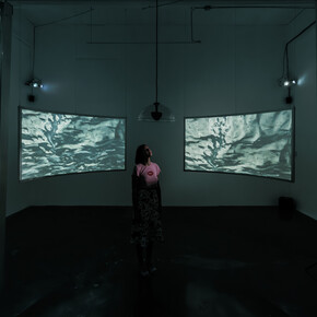Wendy Wischer, Open water, exhibition view. Courtesy of Locust Projects