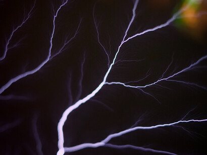 The force of Nature
