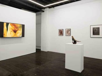 Various artists, Organgrinder, exhibition view. Courtesy of M. LeBlanc