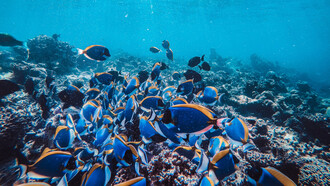 No he vuelto a entrar en su casa desde el día que marchó