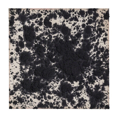 Bosco Sodi. Courtesy of Galeria Carles Taché