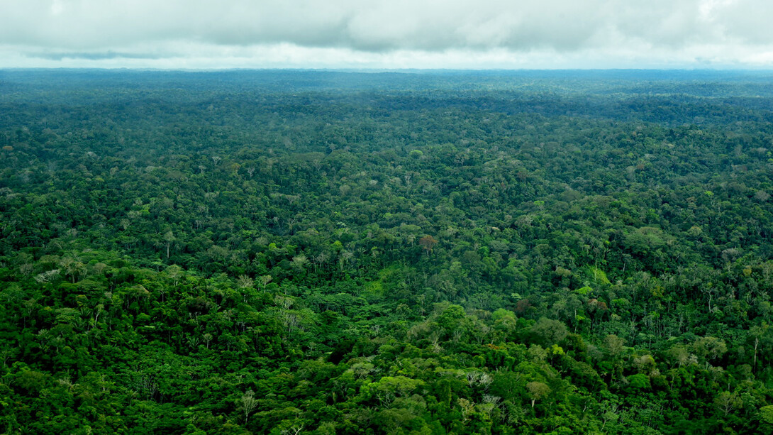 Amazon, Shell to Llanchamacocha flight @ Ashish Kothari