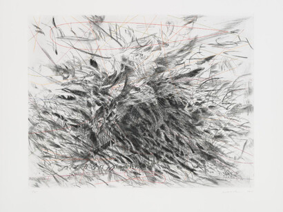 Julie Mehretu. Courtesy of Whitney Museum