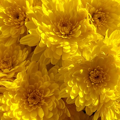 Le comunità più vulnerabili, inclusi lavoratori agricoli e caste svantaggiate, affrontano difficoltà economiche legate a lavori precari, cambiamenti climatici e scarse opportunità di crescita