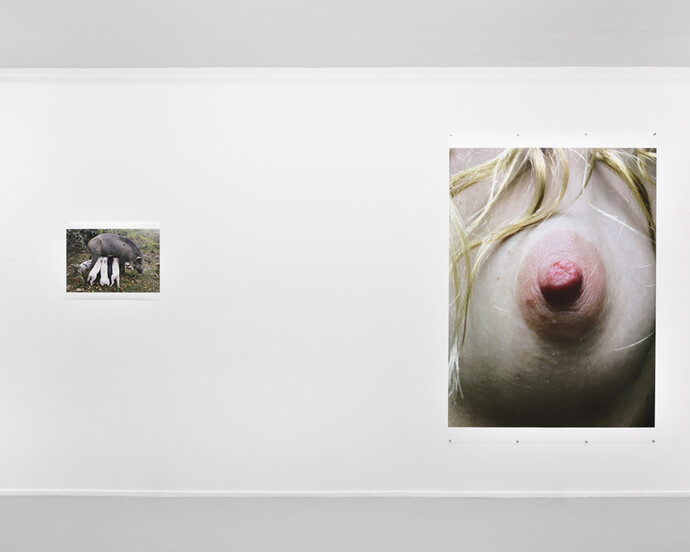 Leg, snails and peaches. Courtesy of Suzanne Tarasieve