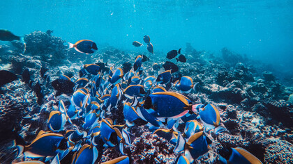 No he vuelto a entrar en su casa desde el día que marchó