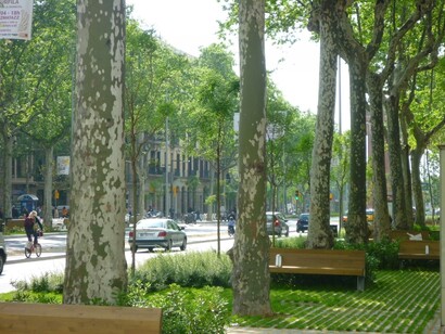 Barcelona. Bancos en las zonas ajardinadas del Passeig de Sant Joan.