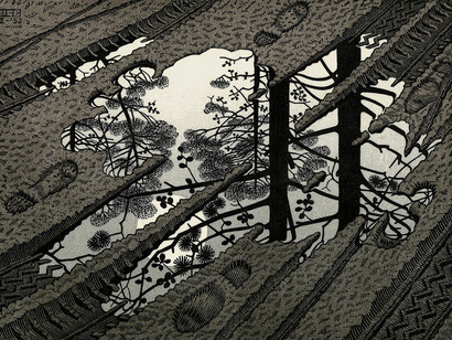 Maurits Cornelis Escher, Superficie increspata, 1950
Linoleum, 26 x 32 cm, Collezione Giudiceandrea Federico, All M.C. Escher works © 2015 The M.C. Escher Company. All rights reserved