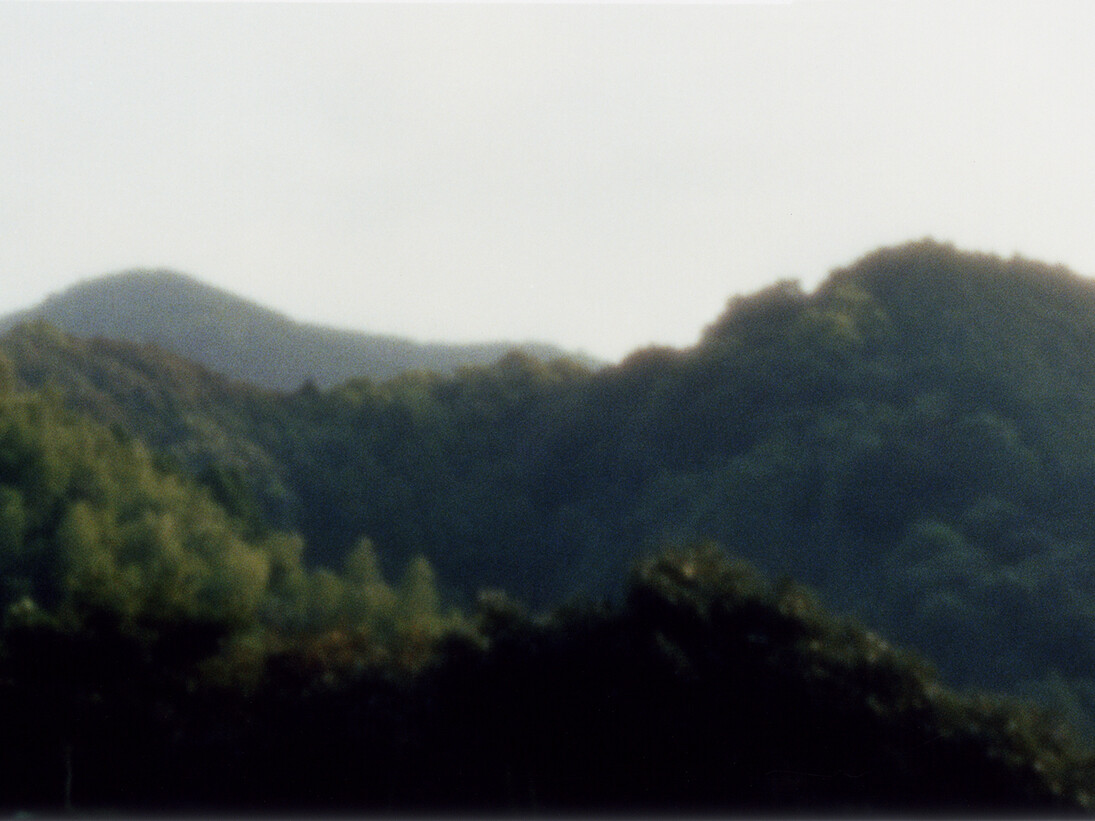 Kirk Palmer, From the series A Surrounding Trace, 2013, colour pinhole photograph, C-type hand print © Kirk Palmer