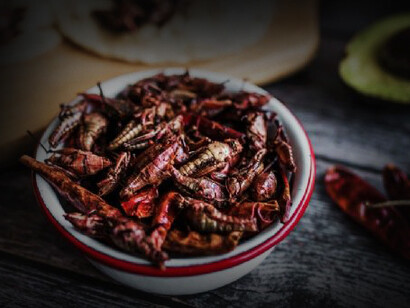 Plato de insectos comestible. Las proteínas y ácidos grasos presentes en estos organismos son de calidad y aptos para el consumo humano