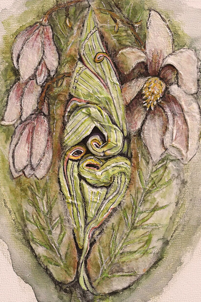 Serie Diversidad de la Naturaleza de Jacqueline Secor