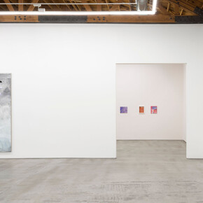 Emma McIntyre, Aragonite and conchiolin, exhibition view. Courtesy of Château Shatto