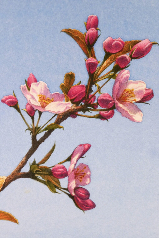 Frederick Brosen. Courtesy of Garvey|Simon 