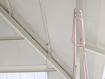 Porkies silicone rubber