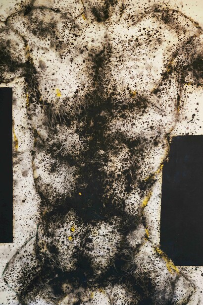 Stare, Ferle. Courtesy of Z Gallery Arts