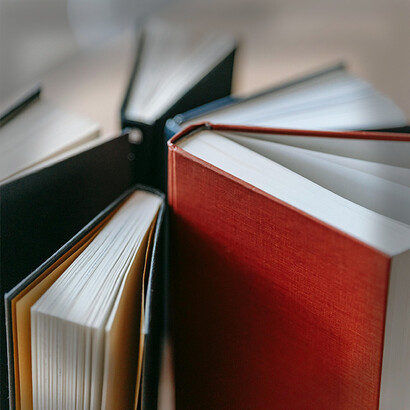 Livros. Por uma conjugação de factores em que a educação, ao lado da esperança de vida à nascença, da saúde e do crescimento económico (rendimento per capita), ocupa um lugar primordial