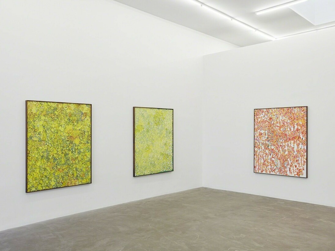 Montana Wildflowers. Courtesy of Praz-Delavallade