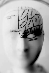 A photo of a sculpted head bust artwork labeled with different parts of the brain