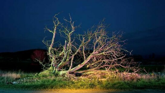 Gerard Byrne, Route à la Campagne, avec Arbre, Soir. Au virage de la departementale qui relie Roussillon à Gargas, entre les Clos, de l' Urbane et les Bourgues, 2008. Fuij Crystal Archive Print, 88 x 110 cm, 34 2/3 x 43 1/3 in, BYRG/E 1