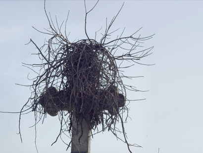 Adrian Paci, The Guardians, 2014, video still, Courtesy of the artist, Kalfayan Galleries (Athens -Thessaloniki) & Galerie Peter Kilchmann (Zurich)