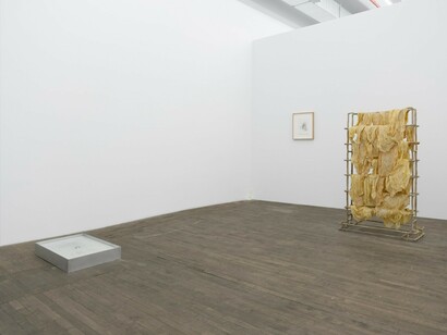 Jes Fan, Sites of wounding. Interchapter, exhibition view. Courtesy of Andrew Kreps Gallery