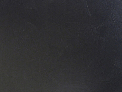 Davide Mancini Zanchi, TT, acrilico, carta adesiva (carbon-look) su tela, 46x28cm,2014.Courtesy AplusB, Brescia