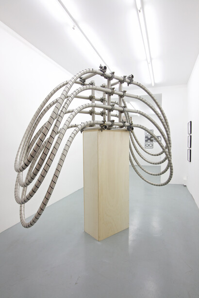 Luciana Lamothe. Courtesy of Alberta Pane