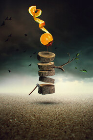 Elton Fernandes, The orange tree