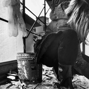 Wunderkammern MIlano