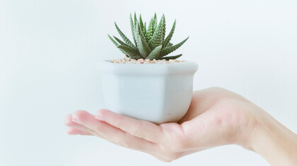 L’arte del buon senso