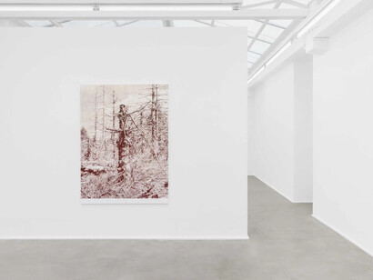 Marcel Berlanger, La disparition des limicoles, exhibition view. Courtesy of rodolphe janssen gallery