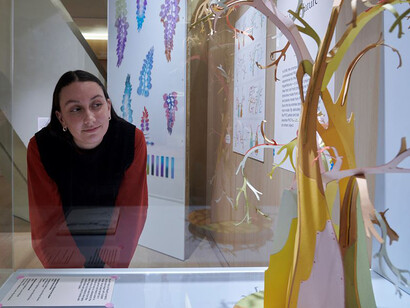 Plataform, Bethan Laura Wood, exhibition view. Courtesy of Design Museum