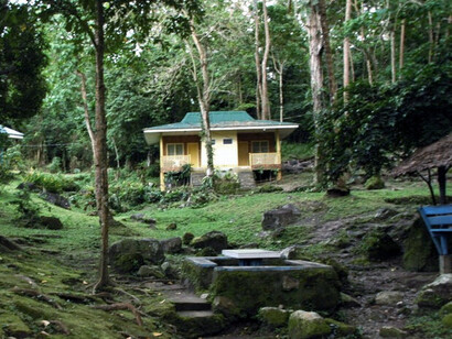 Nestled within the lush forests of Mindanao, this traditional home reflects the region's deep connection to nature and its growing embrace of sustainable living practices
