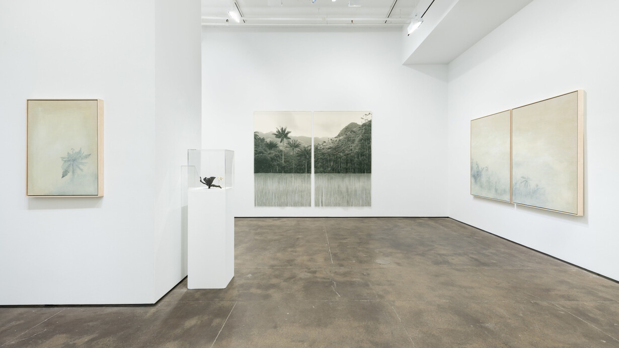 Ana González, Bruma, exhibition view. Courtesy of Sean Kelly