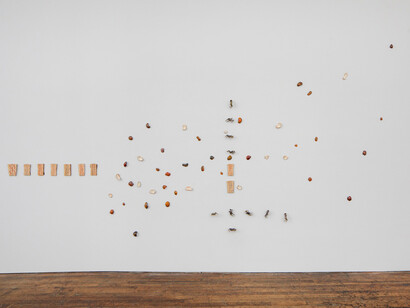 Lucy Skaer, Stacks and ledgers, exhibition view. Courtesy of Peter Freeman, Inc.