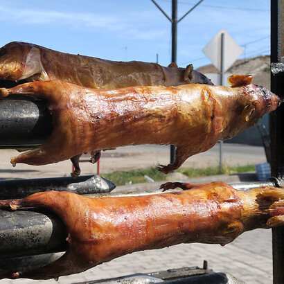 En guisos, este roedor andino se impregna de especias y salsas, logrando un plato reconfortante y nutritivo