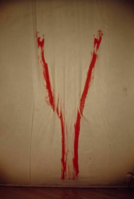 Ana Mendieta, Untitled (Body Tracks), 1974, Suite of six lifetime colour photographs, 20.4 x 25.5 cm each, Collection Carlos De La Cruz, © The Estate of Ana Mendieta Collection, Courtesy Galerie Lelong, New York