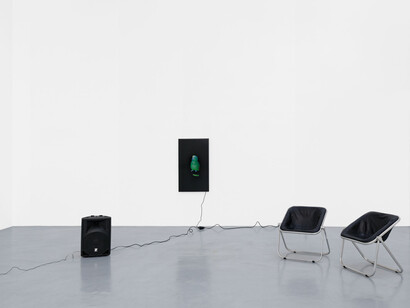 Diana Thater, The conversation, vue d'exposition. Avec l'aimable autorisation de la Galerie Hussenot