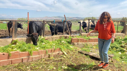 Leila Derouiche Rafrafi, fundadora de Henchir D' Heb, casa de huéspedes ecoturística en Túnez