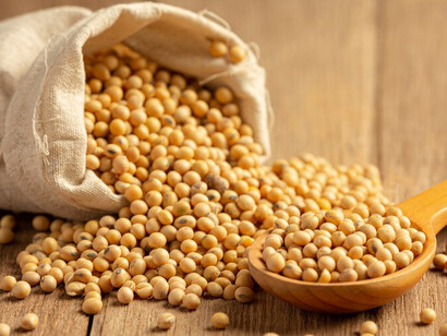Organic soybean seeds and hemp sacks: sustainable vegan protein