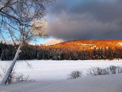 Nature shows the differences and disasters of climate change. Mountains and trees lit up and snow nearby still frozen. 