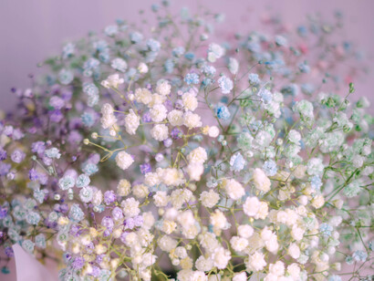 La ternura es una cura ante el dolor, la melancolía, la desesperanza…