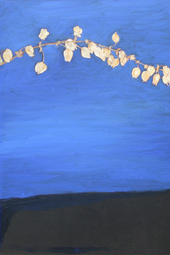 Jocelyn Clarke, Seedpods, 2014, 36 x 25 cm, oil on board