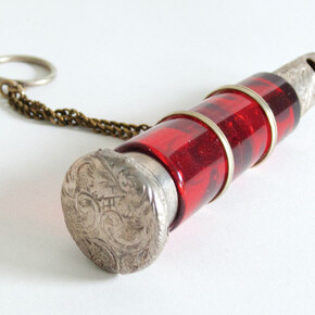 Cabinet of Curiosities. Courtesy of Palazzo Mocenigo
