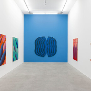 Corydon Cowansage, Separation anxiety, exhibition view. Courtesy of kaufmann repetto