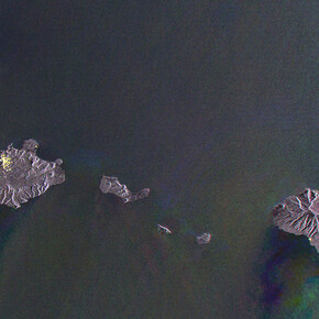 Gayle Chong Kwan, Waste archipelago. Courtesy of Galleria Alberta Pane