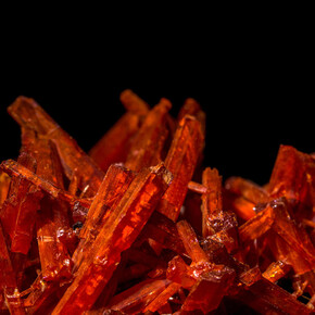 Gems and Minerals Unearthed. Courtesy of California Academy of Sciences